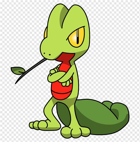 ash treecko.